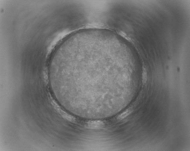 X0000053061454200508011901