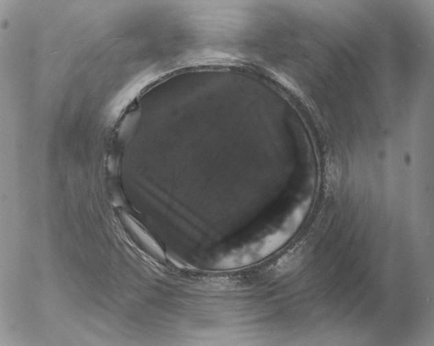 X0000053061455200508011901