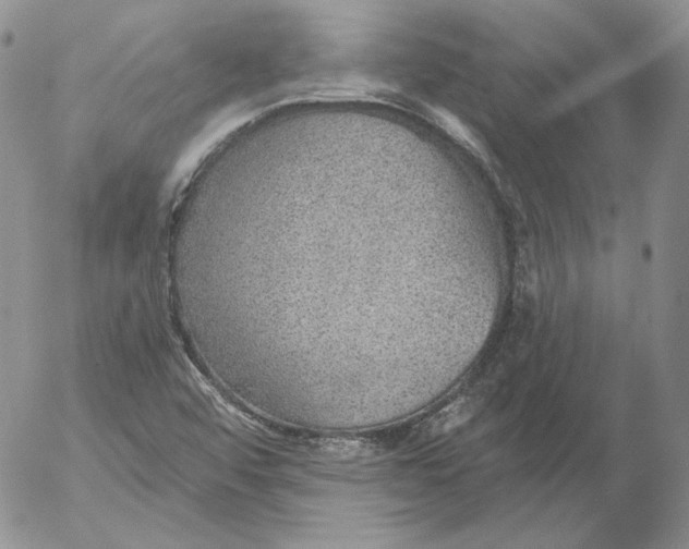 X0000053061456200508011901