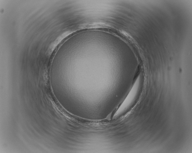 X0000053061457200508011901