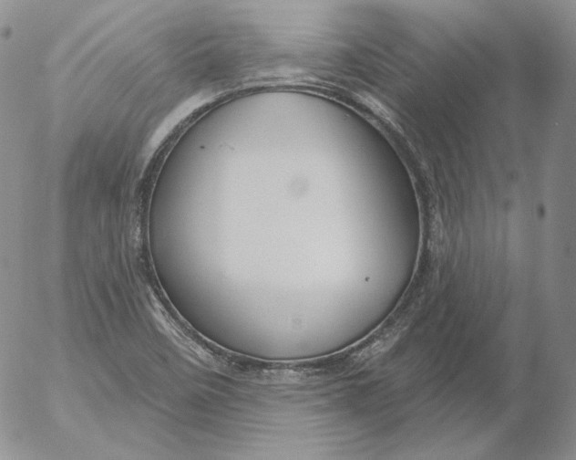 X0000053061458200508011901