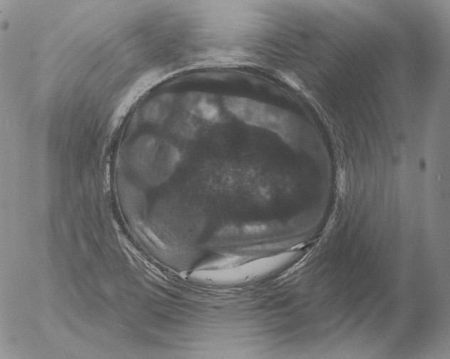 X0000053061459200508011901