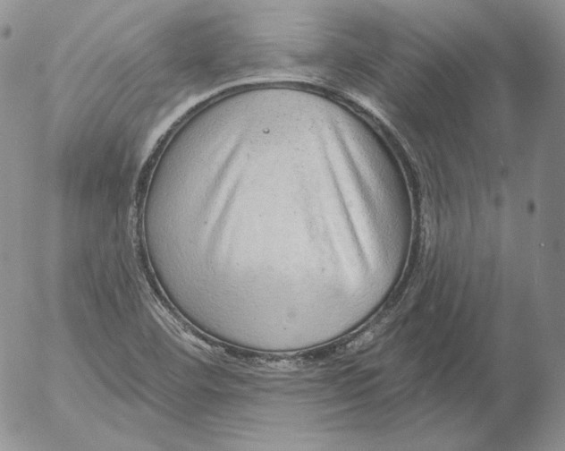 X0000053061460200508011901