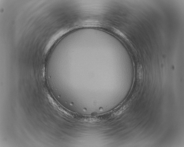 X0000053061461200508011901