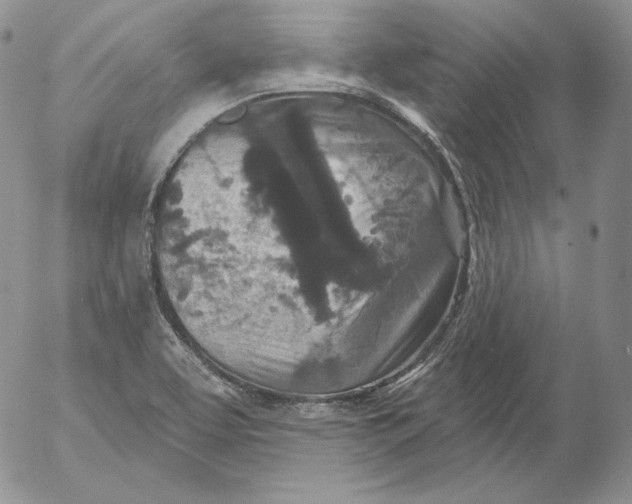 X0000053061463200508011901