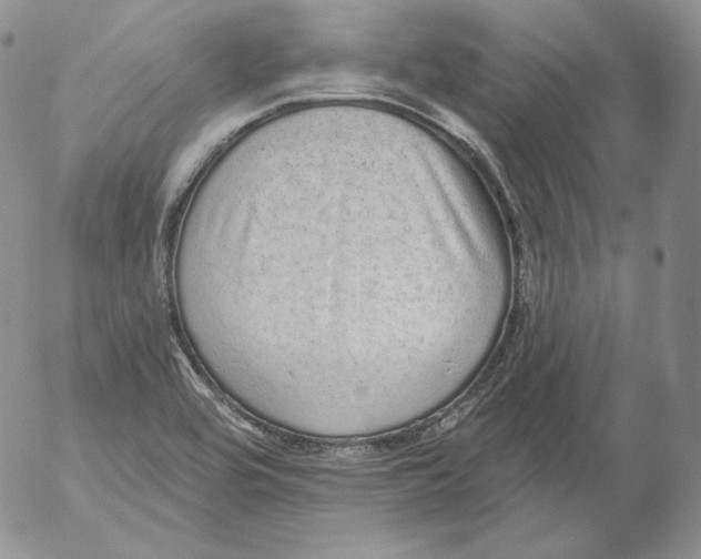 X0000053061464200508011901