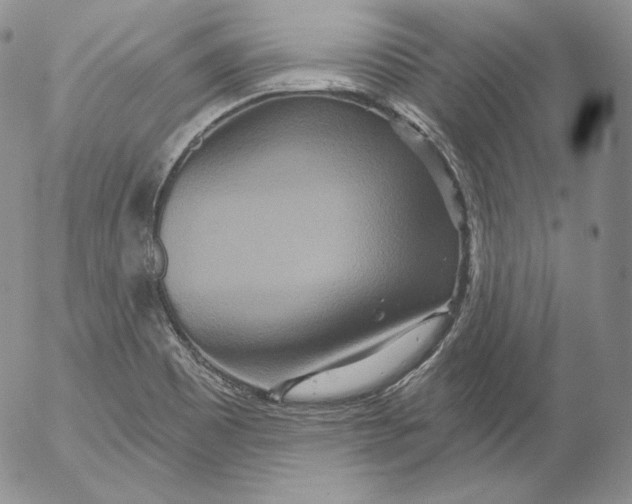 X0000053061465200508011901