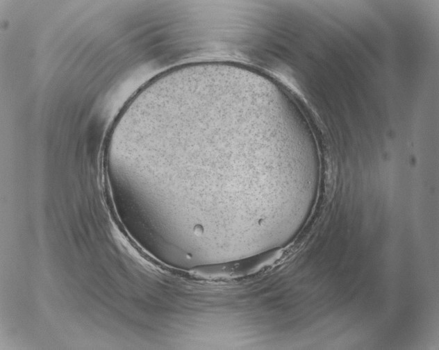 X0000053061468200508011901