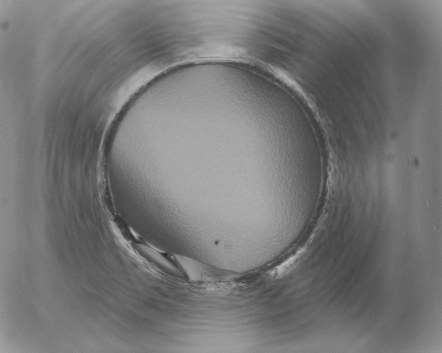 X0000053061469200508011901