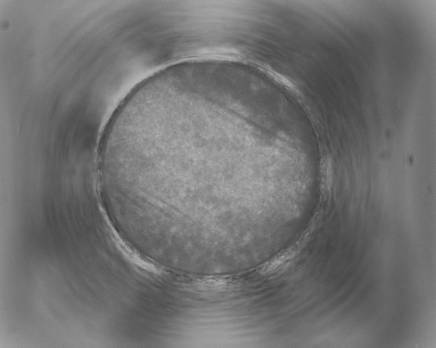 X0000053061470200508011901