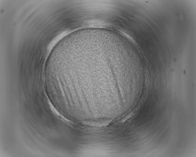 X0000053061471200508011901