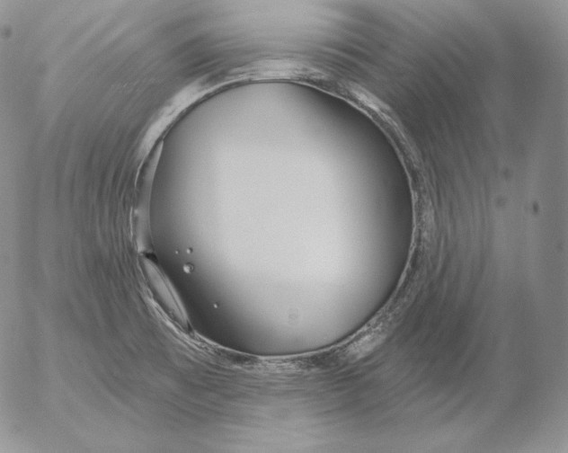 X0000053061473200508011901