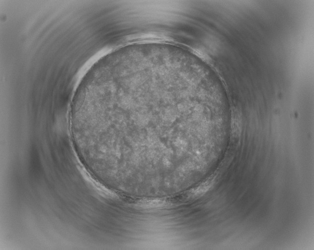 X0000053061474200508011901