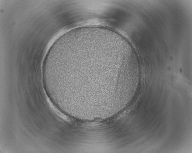 X0000053061475200508011901