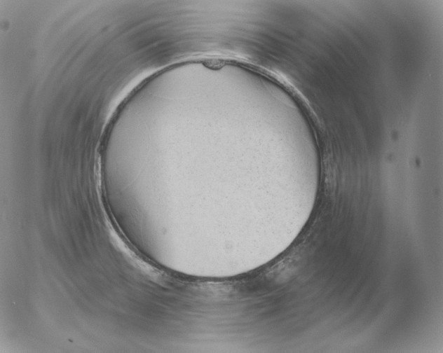 X0000053061476200508011901