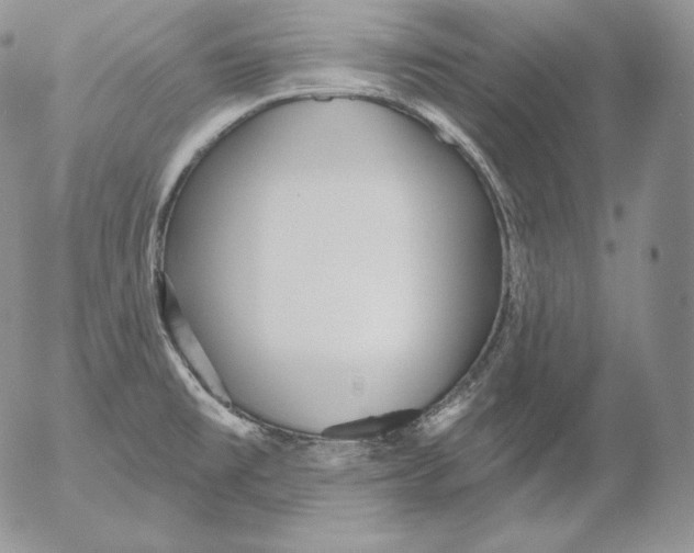 X0000053061477200508011901