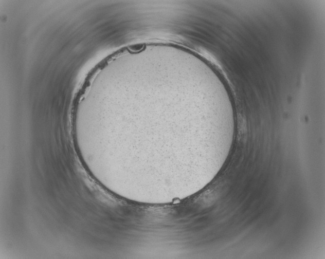 X0000053061480200508011901