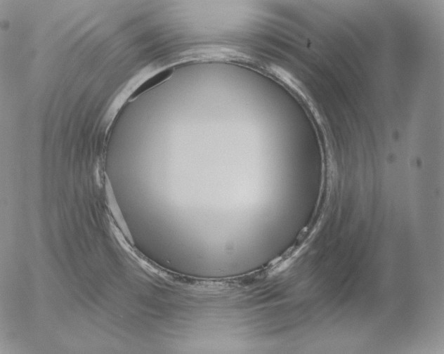 X0000053061481200508011901