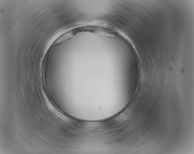 X0000053061483200508011901