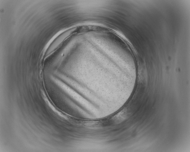 X0000053061484200508011901