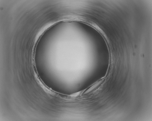 X0000053061485200508011901