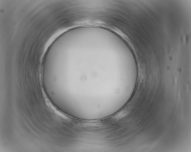 X0000053061486200508011901