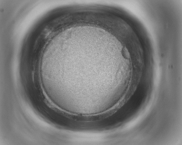 X0000053061487200508011901