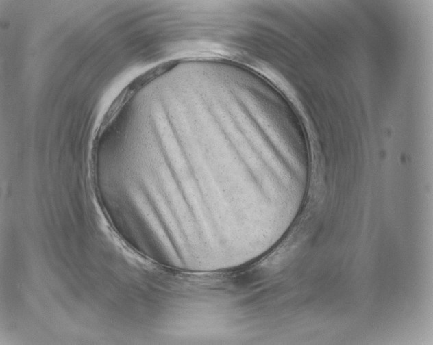 X0000053061488200508011901