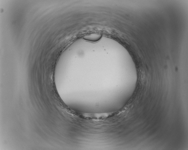 X0000053061489200508011900