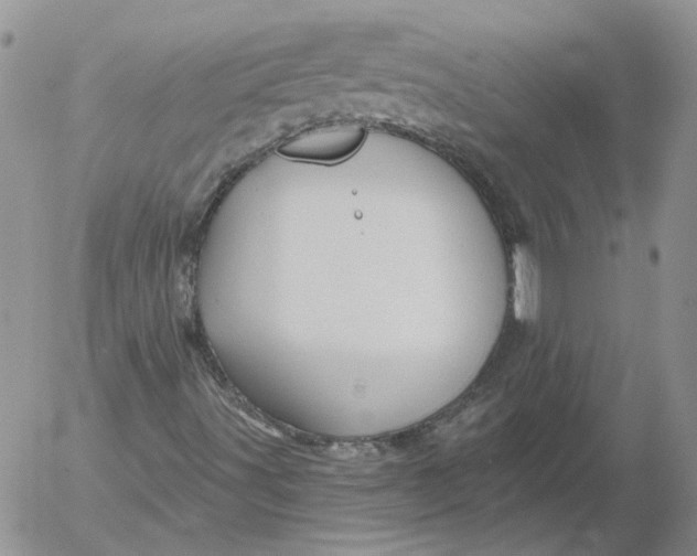 X0000053061491200508011900