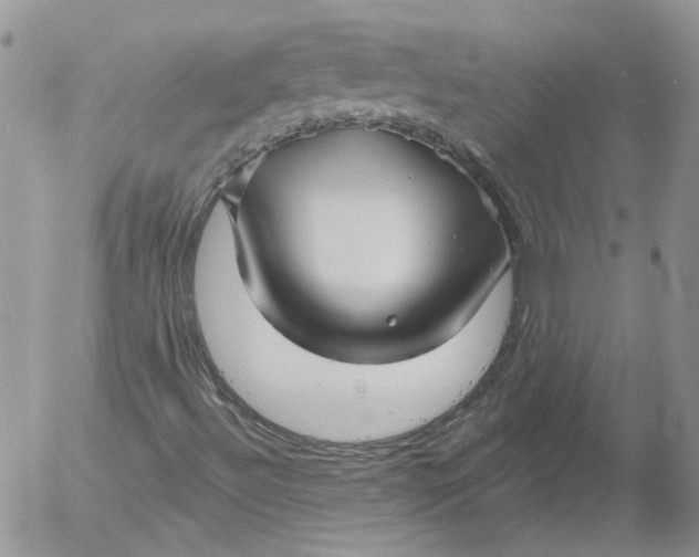 X0000053061492200508011900