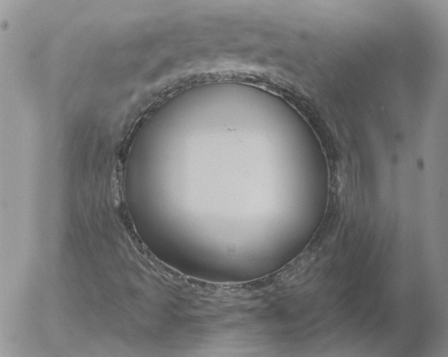 X0000053061493200508011900