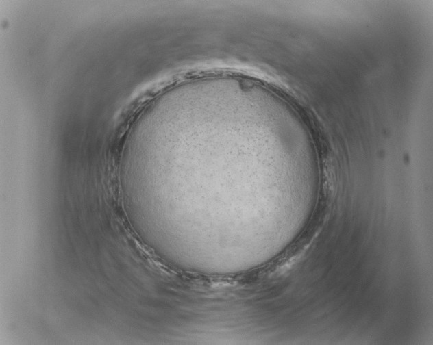 X0000053061494200508011900