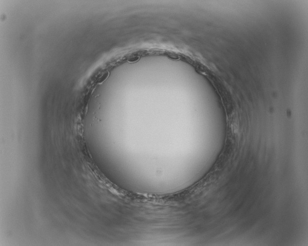 X0000053061495200508011900