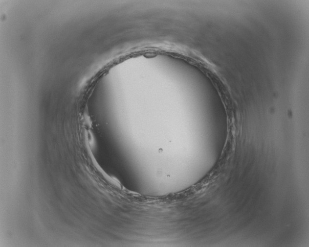 X0000053061496200508011900