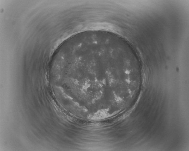 X0000053061497200508011900