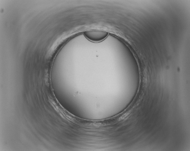 X0000053061499200508011900