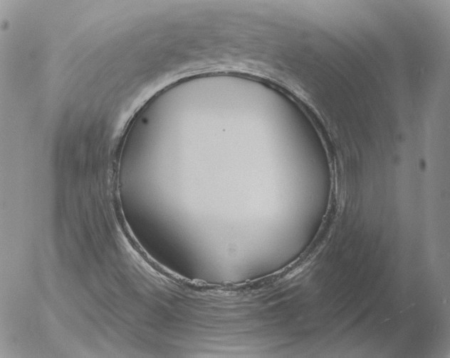 X0000053061500200508011900