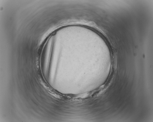 X0000053061501200508011900