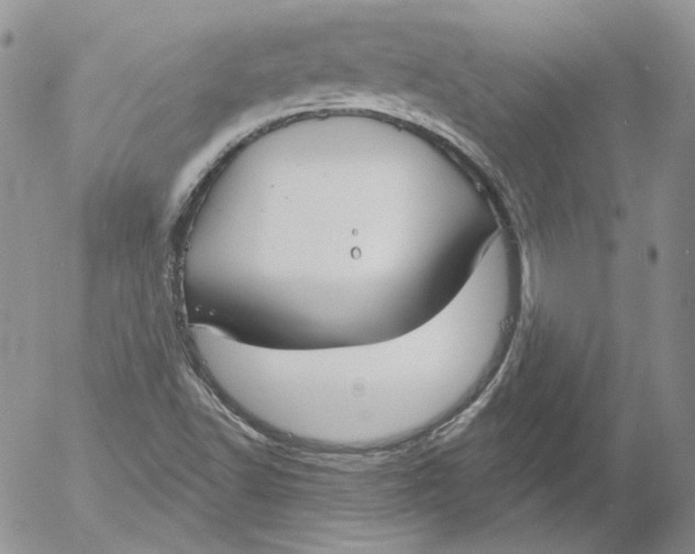 X0000053061502200508011900