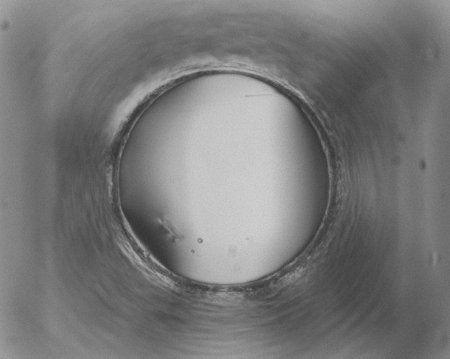 X0000053061503200508011900