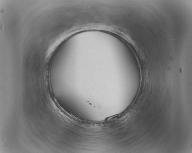 X0000053061504200508011900