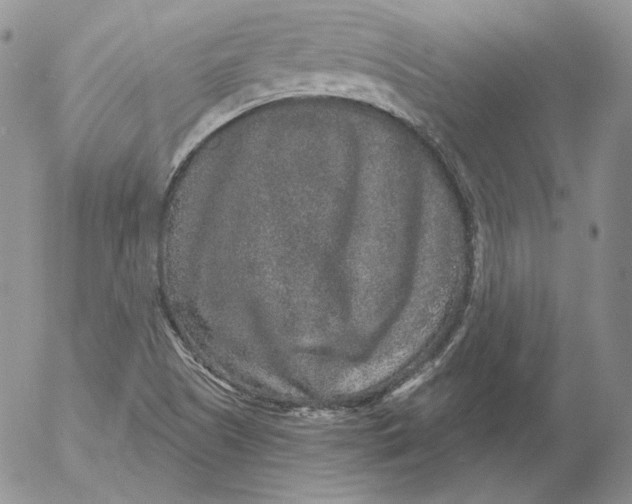 X0000053061505200508011900