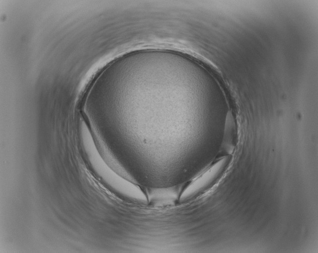 X0000053061506200508011900