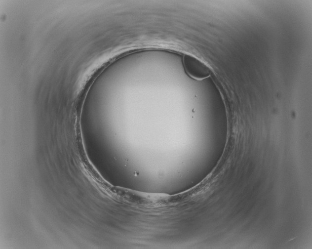 X0000053061507200508011900