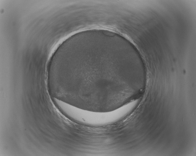 X0000053061508200508011900