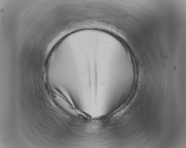 X0000053061509200508011900