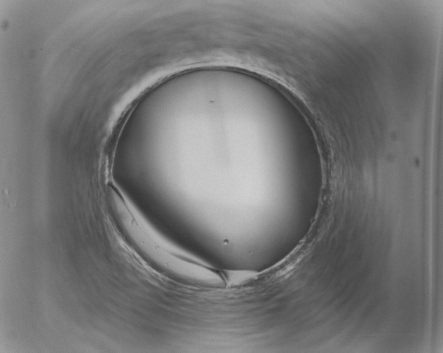 X0000053061510200508011900