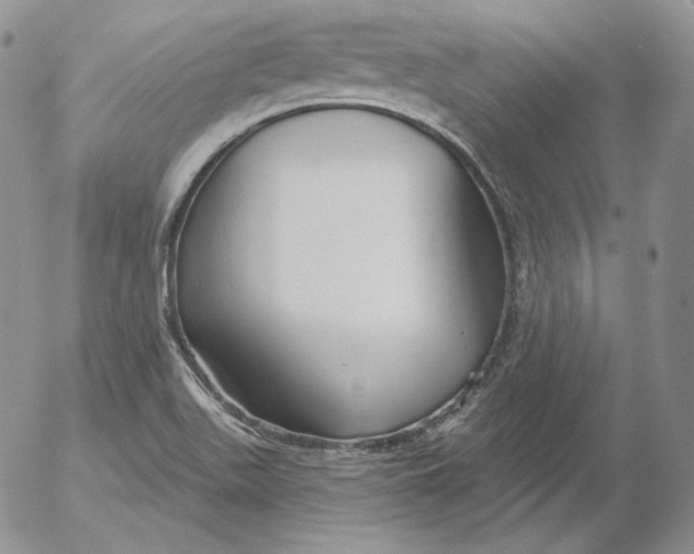 X0000053061511200508011900