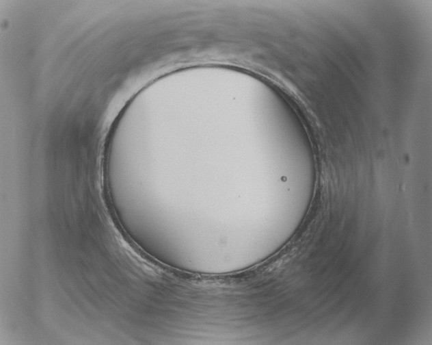 X0000053061512200508011900